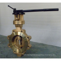 Lug Type Butterfly Valve with Hand Lever